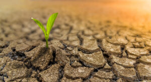 Growth doesn't have to start from a perfect place.