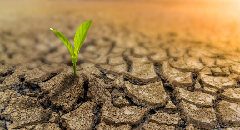 Growth doesn't have to start from a perfect place.