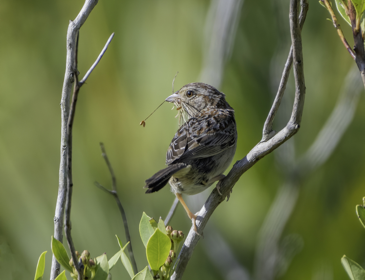Matt 6:26 tells us God takes care of the needs of sparrows. He cares about your needs.
